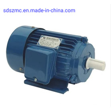 Three-Phase Asynchronous Electric/Electrical Electric Hoist AC Motor